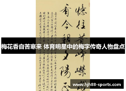 梅花香自苦寒来 体育明星中的梅字传奇人物盘点